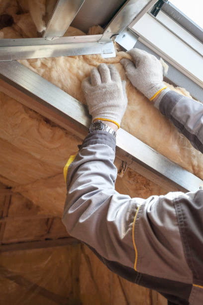 Best Best Insulation Companies  in Newton, MA