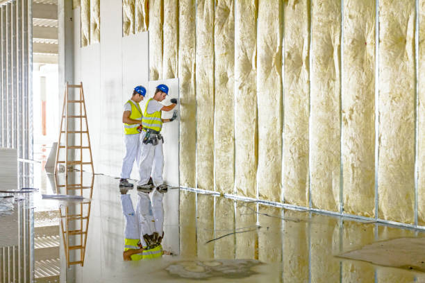 Best Insulation Removal Services  in Newton, MA